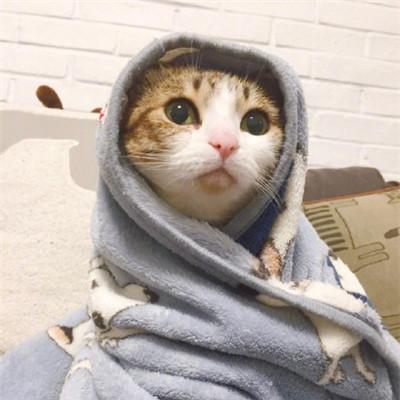 【超萌宠物陪你游西游!萌宠西游激活码领取,限时免费获取,快来领取吧!】 【超萌宠物陪你游西游!萌宠西游激活码领取,限时免费获取,快来领取吧!】