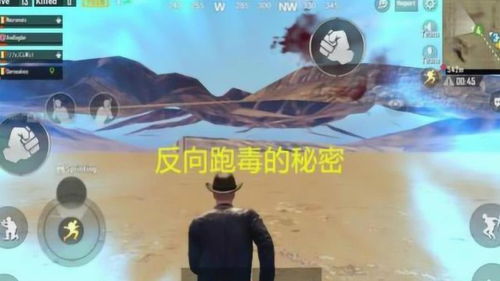 (光遇米渠)光遇米服：探索这个神秘世界的独特体验与精彩活动攻略