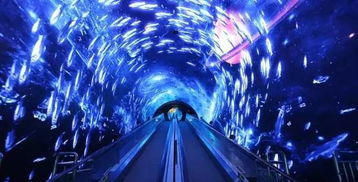 (极地探险视频)探秘极地恐怖：极地寒冷之下隐藏的恐怖力量