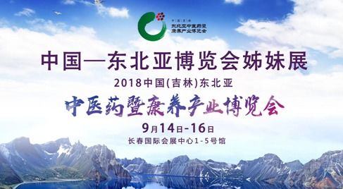 和亲之路:探索历史中的宣和和议,推动不同文化之间的友好交流与合作 和亲之路:探索历史中的宣和和议,推动不同文化之间的友好交流与合作