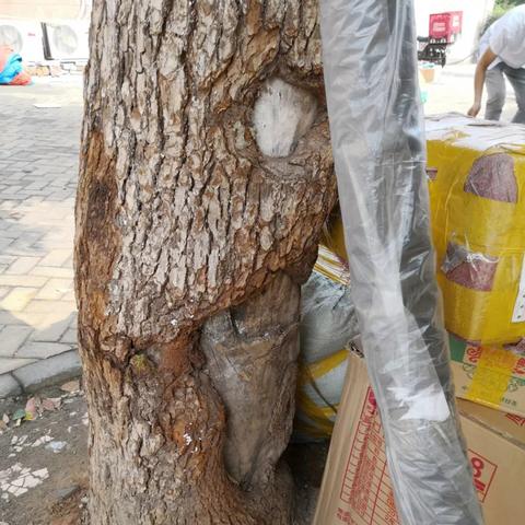 在绳索战斗英雄游戏中体验无与伦比的动作冒险，成为城市中最强大的超级英雄！