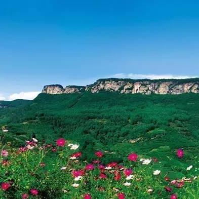 大黑龙是什么意思？解析大黑龙的来历及传说，揭秘大黑龙的神秘身份及象征含义