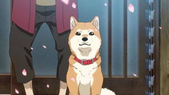 (捕捉萌宠游戏叫什么)探寻萌宠世界:最受欢迎的捕捉萌宠游戏排行榜 (捕捉萌宠游戏叫什么)探寻萌宠世界:最受欢迎的捕捉萌宠游戏排行榜